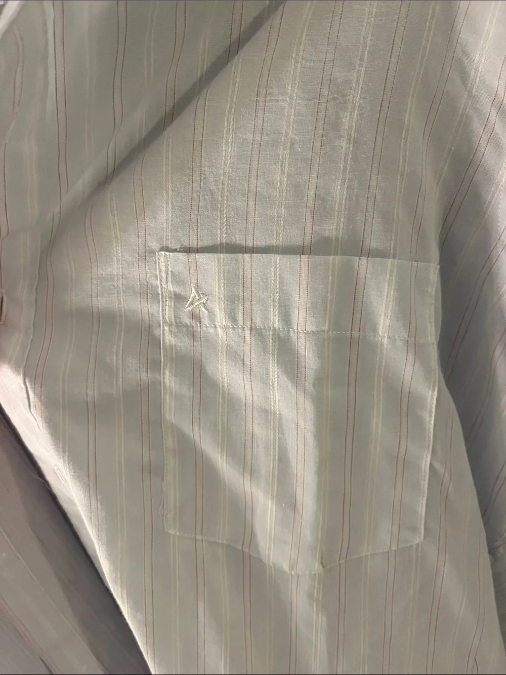 Arrow Men's Pale Blue Stripe Casual Button-Down Shirt
